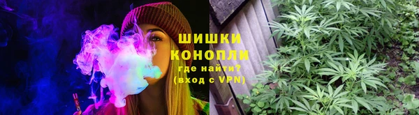 шишки Красноперекопск