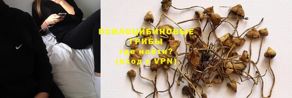 тгк Коряжма