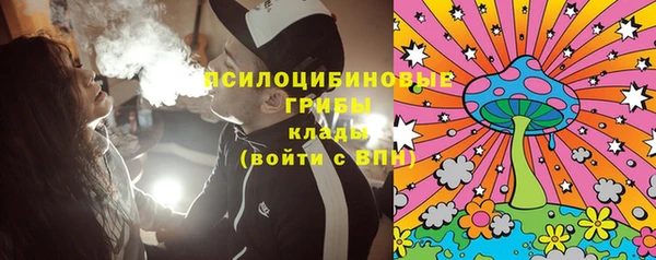 шишки Красноперекопск