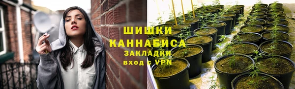 тгк Коряжма