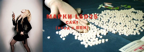 apvp Краснослободск