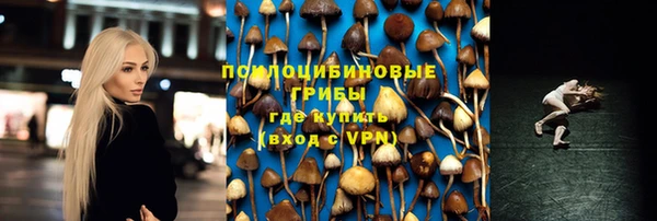 меф Корсаков